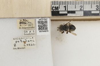 Media type: image;   Entomology 794879 Aspect: Labels